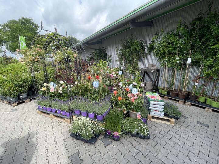 Rosenaktion